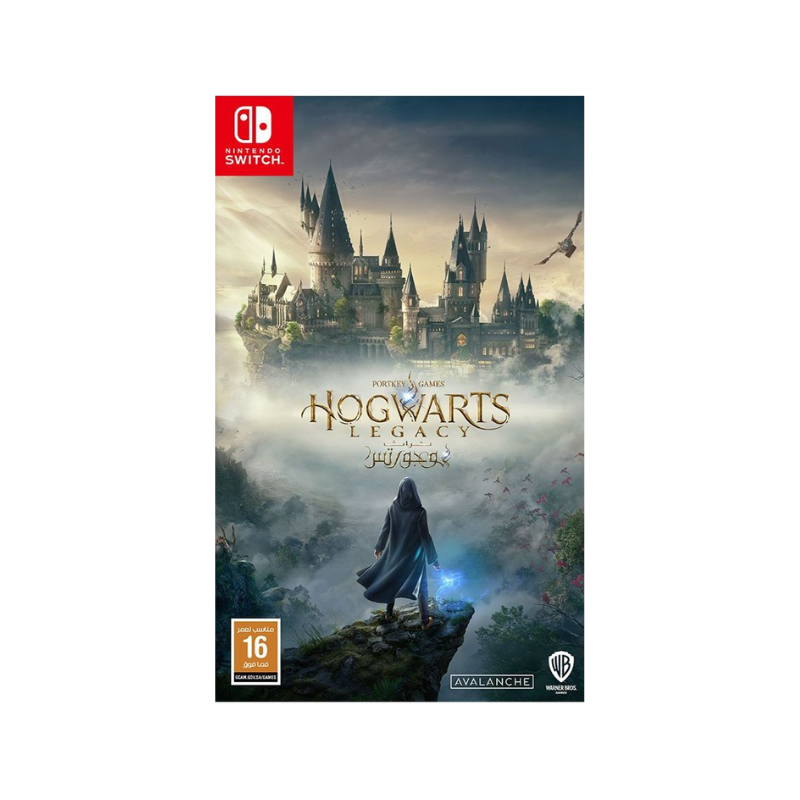Hogwarts Legacy Switch
