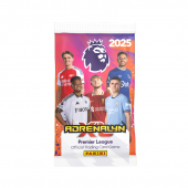 Panini Premier League...